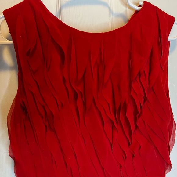 REISS Jasmine Ruffle Detail Dress, Cherry Red Rare 465.00 dress size 2 - Picture 7 of 10